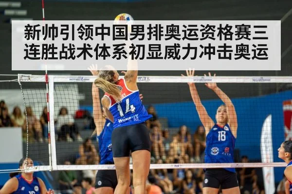 volleyball match